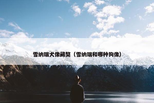 雪纳瑞犬像藏獒（雪纳瑞和哪种狗像）