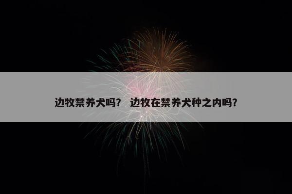 边牧禁养犬吗？ 边牧在禁养犬种之内吗？