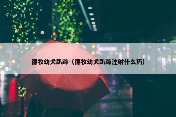 德牧幼犬趴蹄（德牧幼犬趴蹄注射什么药）