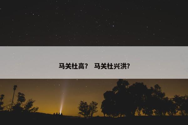 马关杜高？ 马关杜兴洪？