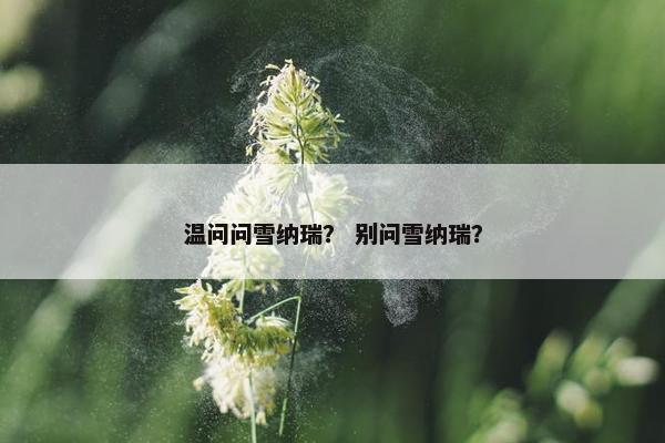 温问问雪纳瑞？ 别问雪纳瑞？