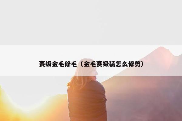 赛级金毛修毛（金毛赛级装怎么修剪）