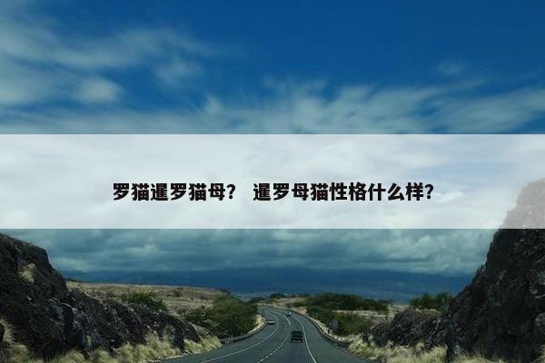 罗猫暹罗猫母？ 暹罗母猫性格什么样？