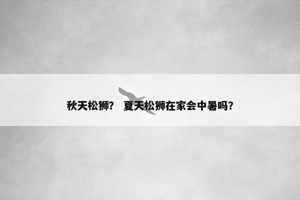 秋天松狮？ 夏天松狮在家会中暑吗？