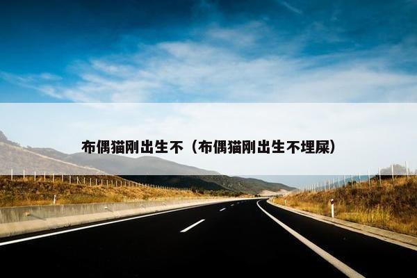 布偶猫刚出生不（布偶猫刚出生不埋屎）