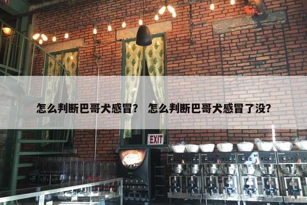 怎么判断巴哥犬感冒？ 怎么判断巴哥犬感冒了没？