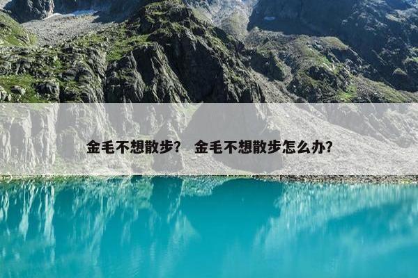 金毛不想散步？ 金毛不想散步怎么办？