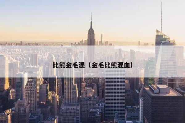 比熊金毛混（金毛比熊混血）