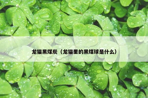 龙猫黑煤炭（龙猫里的黑煤球是什么）
