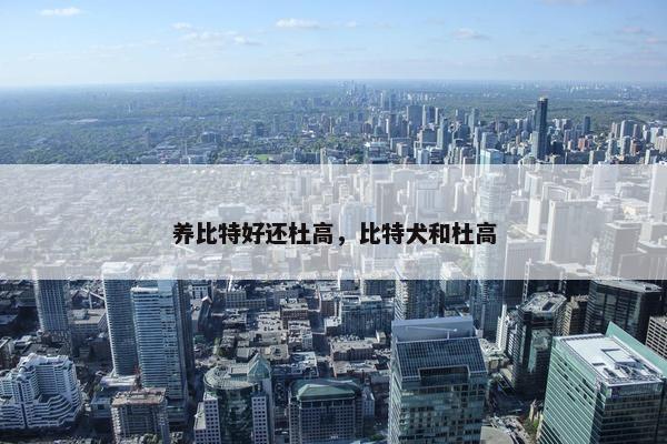 养比特好还杜高，比特犬和杜高