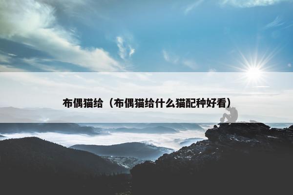 布偶猫给（布偶猫给什么猫配种好看）