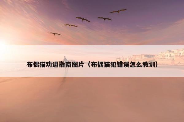 布偶猫劝退指南图片（布偶猫犯错误怎么教训）