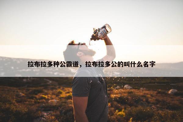 拉布拉多种公霸道，拉布拉多公的叫什么名字