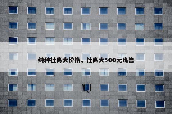 纯种杜高犬价格，杜高犬500元出售