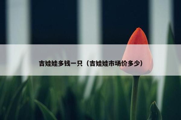 吉娃娃多钱一只（吉娃娃市场价多少）