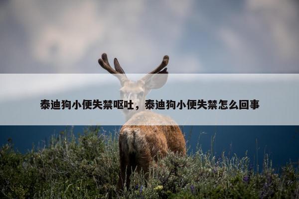 泰迪狗小便失禁呕吐，泰迪狗小便失禁怎么回事