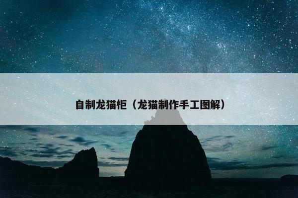 自制龙猫柜（龙猫制作手工图解）