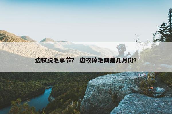 边牧脱毛季节？ 边牧掉毛期是几月份？
