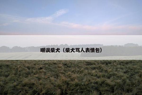 嘲讽柴犬（柴犬骂人表情包）