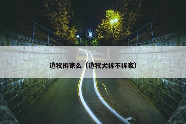 边牧拆家么（边牧犬拆不拆家）
