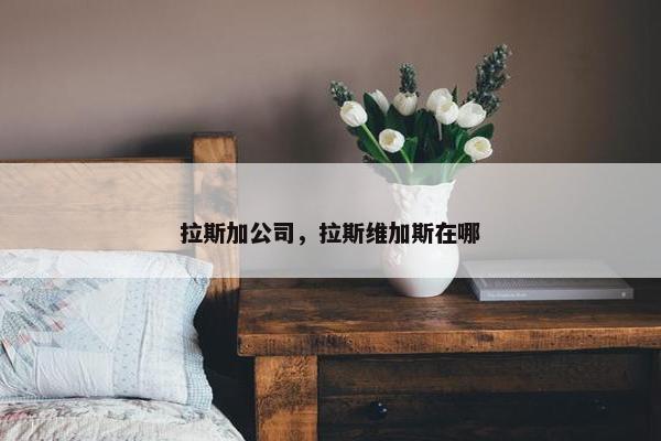 拉斯加公司，拉斯维加斯在哪
