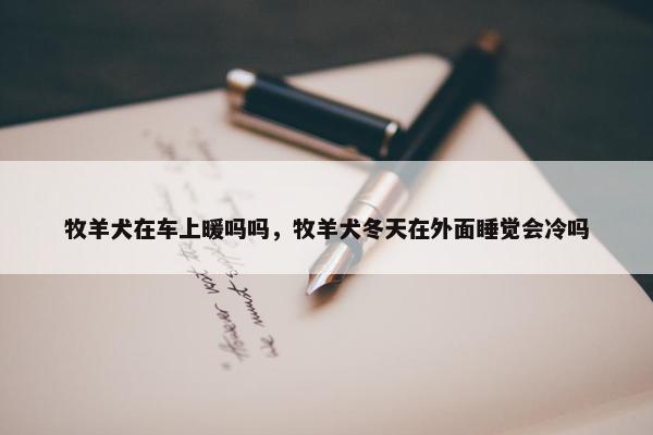 牧羊犬在车上暖吗吗，牧羊犬冬天在外面睡觉会冷吗