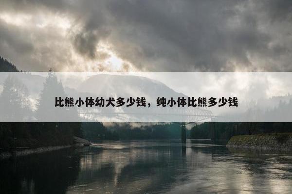 比熊小体幼犬多少钱，纯小体比熊多少钱