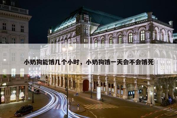 小奶狗能饿几个小时，小奶狗饿一天会不会饿死