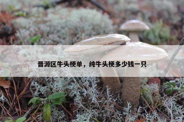 晋源区牛头梗单，纯牛头梗多少钱一只