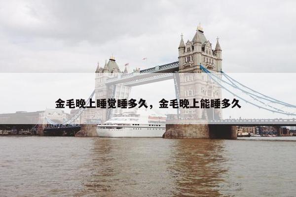金毛晚上睡觉睡多久，金毛晚上能睡多久