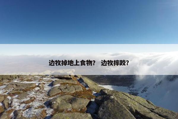 边牧掉地上食物？ 边牧摔跤？