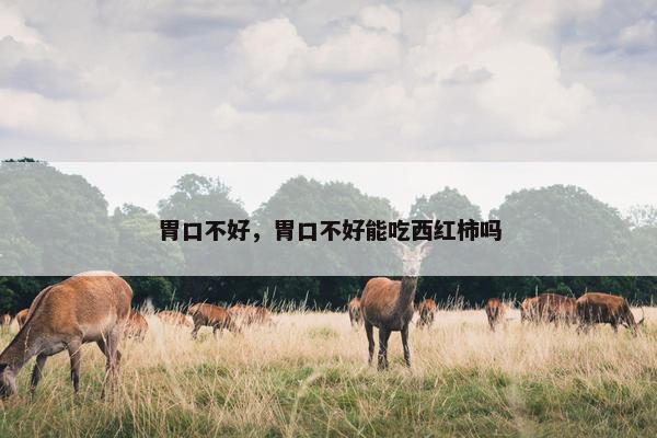 胃口不好，胃口不好能吃西红柿吗