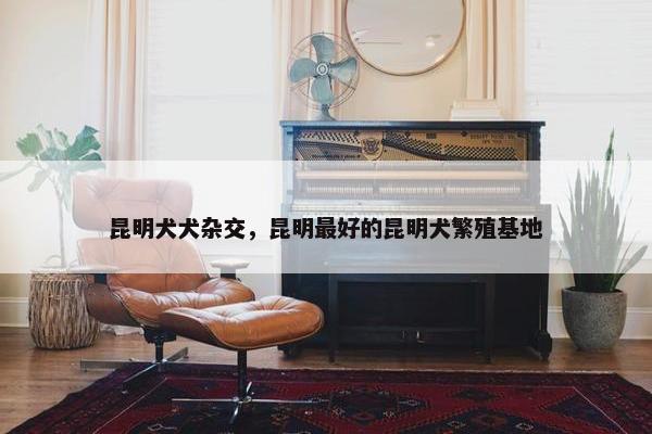 昆明犬犬杂交，昆明最好的昆明犬繁殖基地