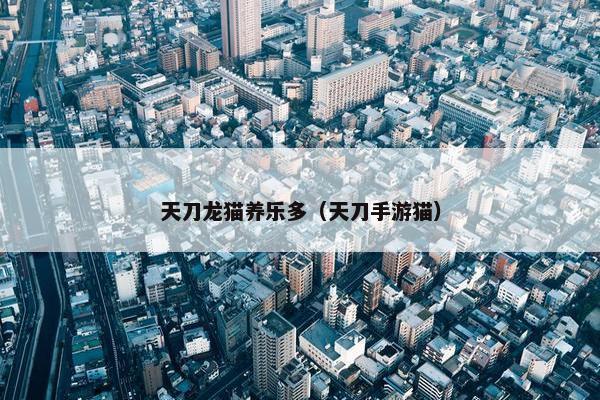 天刀龙猫养乐多（天刀手游猫）