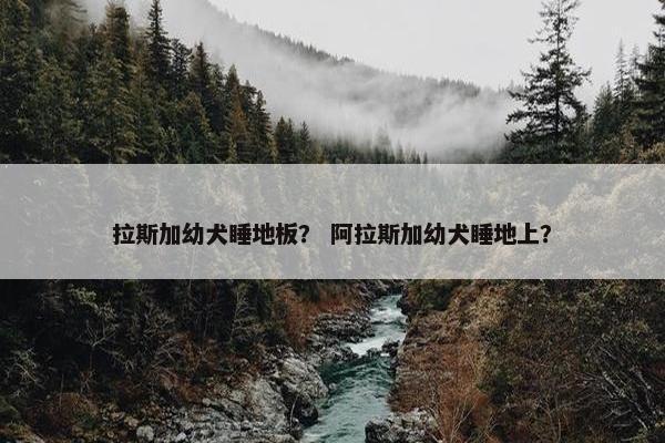 拉斯加幼犬睡地板？ 阿拉斯加幼犬睡地上？