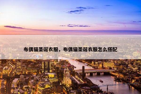布偶猫圣诞衣服，布偶猫圣诞衣服怎么搭配