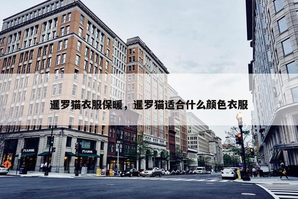 暹罗猫衣服保暖，暹罗猫适合什么颜色衣服