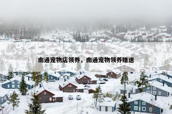 南通宠物店领养，南通宠物领养赠送
