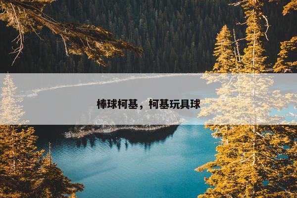 棒球柯基，柯基玩具球