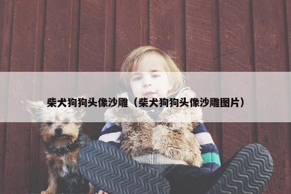 柴犬狗狗头像沙雕（柴犬狗狗头像沙雕图片）