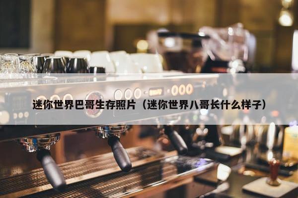 迷你世界巴哥生存照片（迷你世界八哥长什么样子）