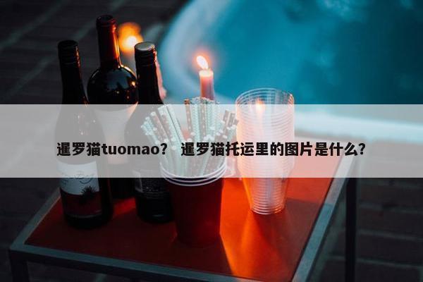 暹罗猫tuomao？ 暹罗猫托运里的图片是什么？
