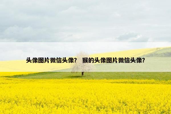 头像图片微信头像？ 猴的头像图片微信头像？