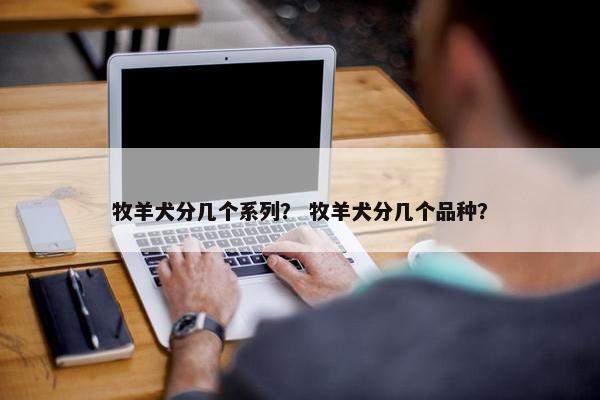 牧羊犬分几个系列？ 牧羊犬分几个品种？
