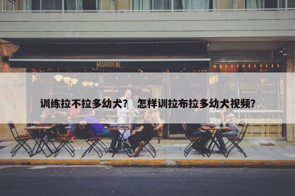 训练拉不拉多幼犬？ 怎样训拉布拉多幼犬视频？