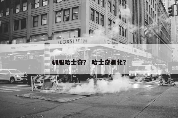 驯服哈士奇？ 哈士奇驯化？