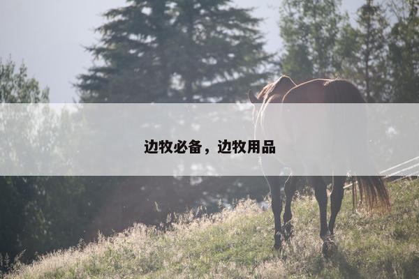 边牧必备，边牧用品