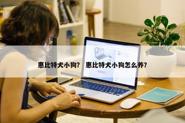 惠比特犬小狗？ 惠比特犬小狗怎么养？