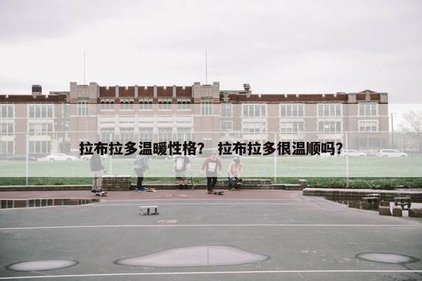 拉布拉多温暖性格？ 拉布拉多很温顺吗？