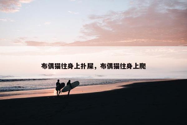 布偶猫往身上扑屎，布偶猫往身上爬